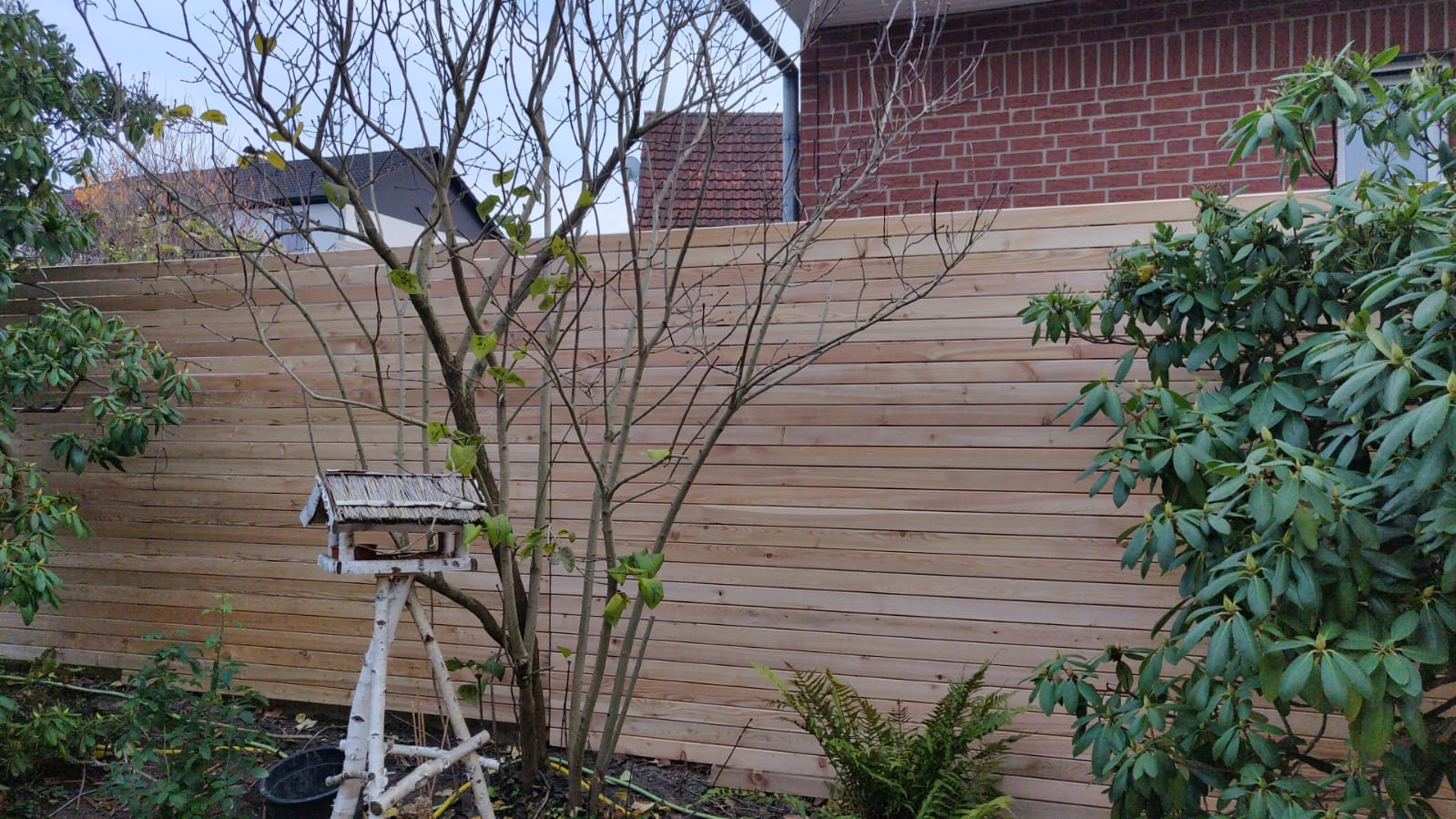Aufnahme eines frisch errichteten, blickdichten Holzzauns aus hellen, horizontal angeordneten Brettern. Vor dem Zaun wachsen verschiedene Pflanzen, darunter ein kleiner, noch blattloser Baum, an dem ein weißes Vogelhaus mit einem grauen Dach befestigt ist. Im Hintergrund ist die Giebelseite eines roten Backsteinhauses zu sehen.